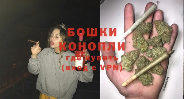 тгк Дмитриев