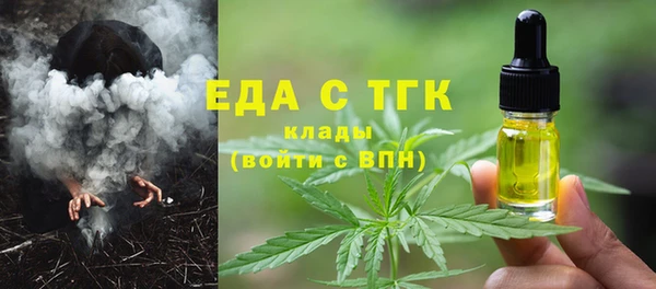 тгк Дмитриев