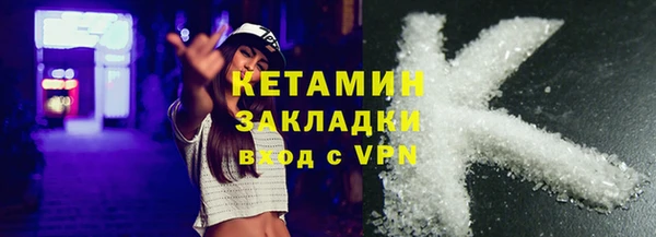 тгк Дмитриев