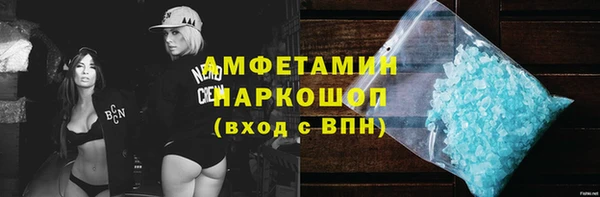 тгк Дмитриев
