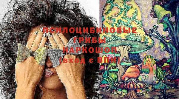 тгк Дмитриев