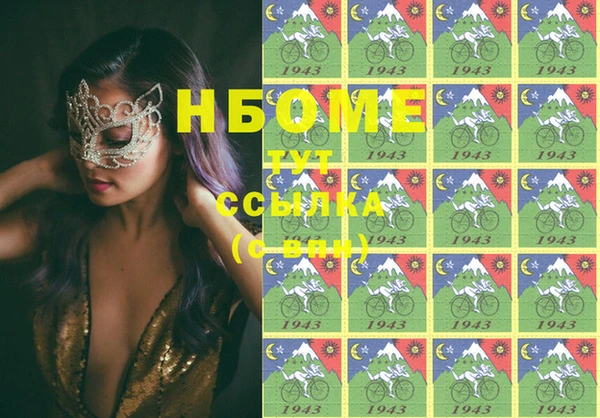 тгк Дмитриев