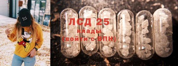 тгк Дмитриев